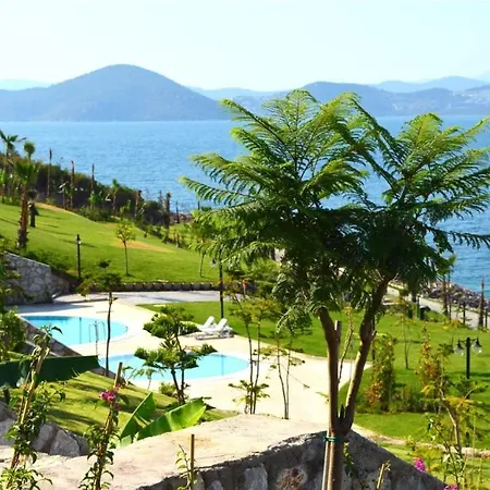2 Bedroom Castamar شقة